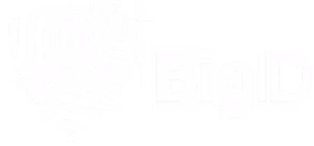 BigID